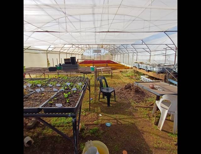 8.50HA FARM FOR SALE IN NOOITGEDACHT AH